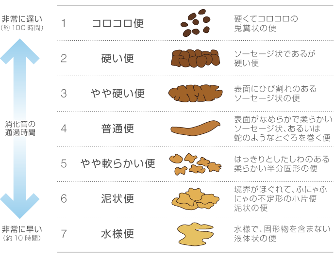 黄色 の 便